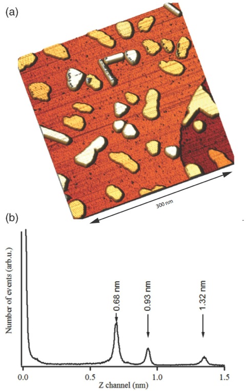 Bismut Evaporation